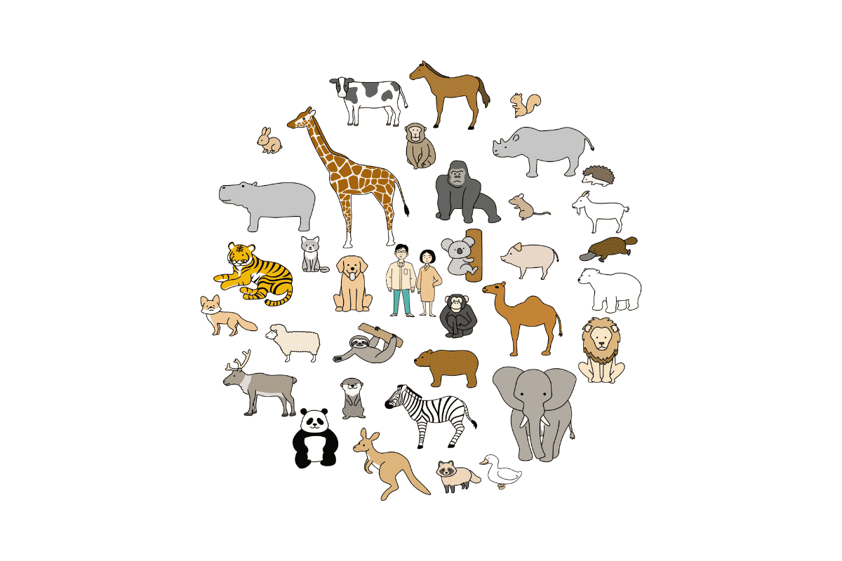 「人間は他の生物と何がちがうのか」 -オープンエンドの課題で、自分の考えをまとめる-