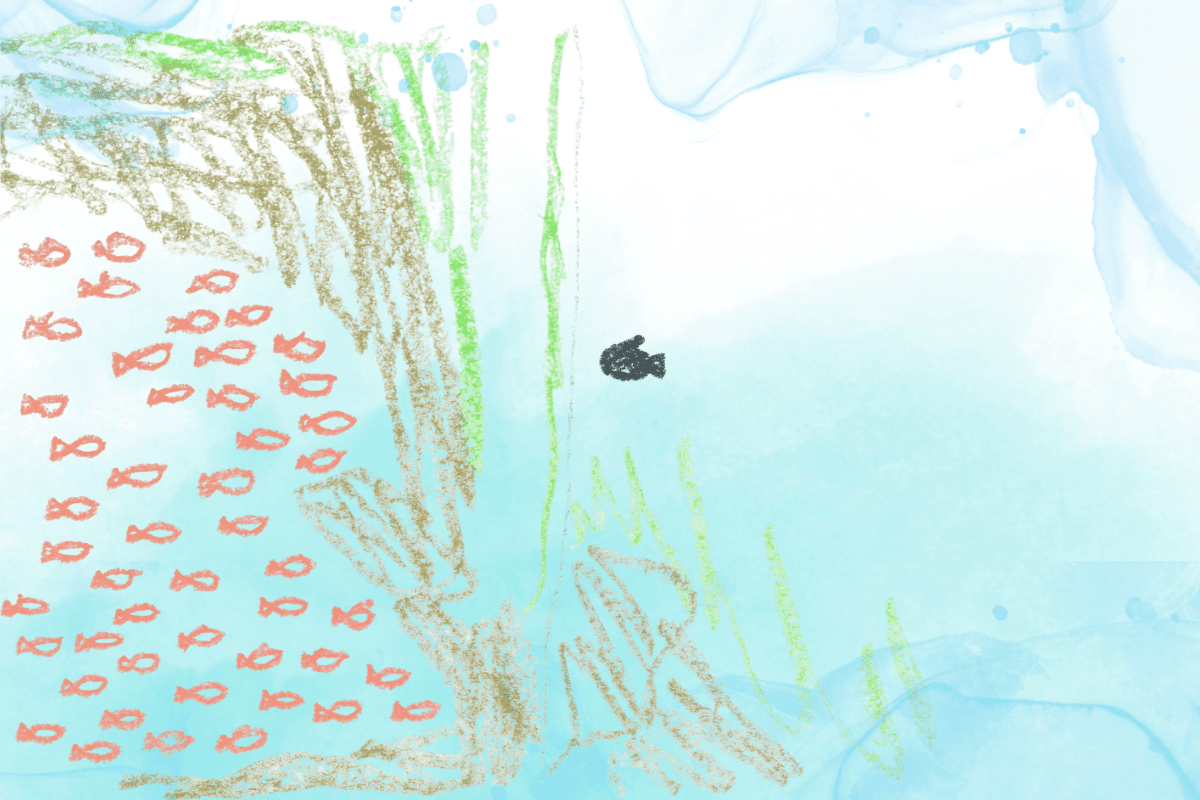 探究型国語授業 ―2年『スイミー』(光村図書)-