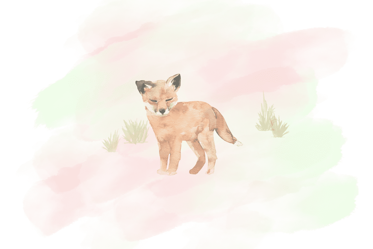 「ごんぎつね」を私はこう授業する!!