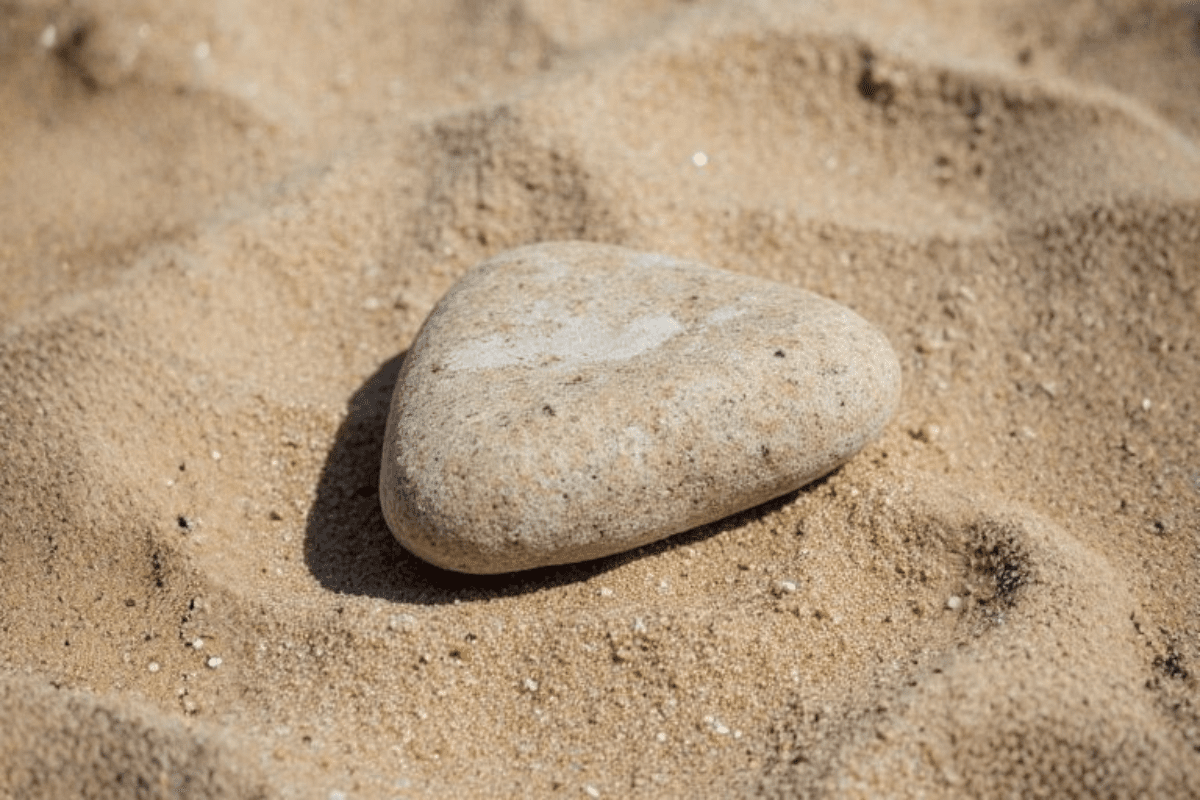 「おにぎり石の伝説」 ―音読の工夫をから通じ合う国語の授業づくりへ―