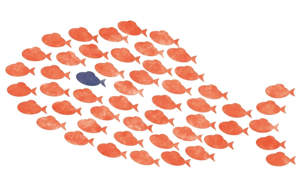 「スイミー」 -子どもの追究意識に寄り添った展開を-