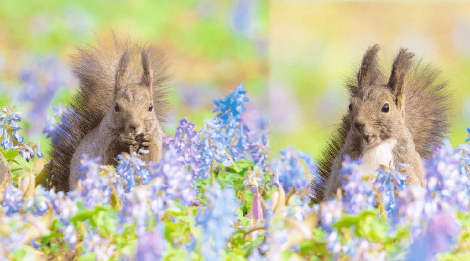 「春風をたどって」 ―「個別最適な学び」と「協働的な学び」を一体的に充実する授業を創造するために―