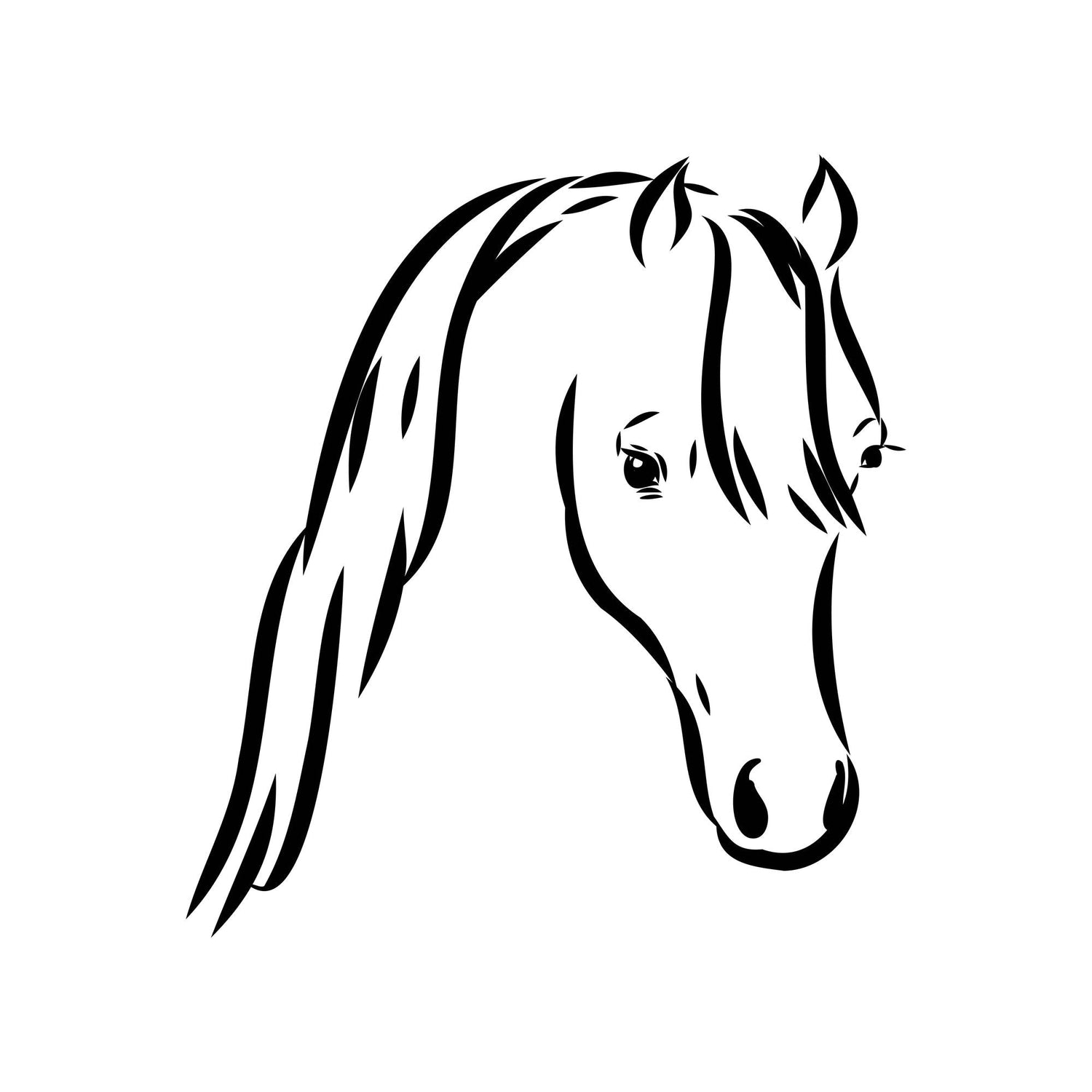 「スーホの白い馬」 -教師が教えたいことを、子どもが学びたいことへ-